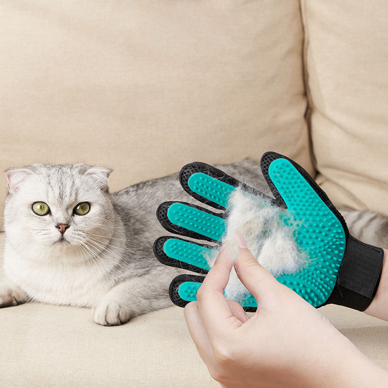 Перчатка для груминга животных – обзор и цена Rubber Glove Cleaning